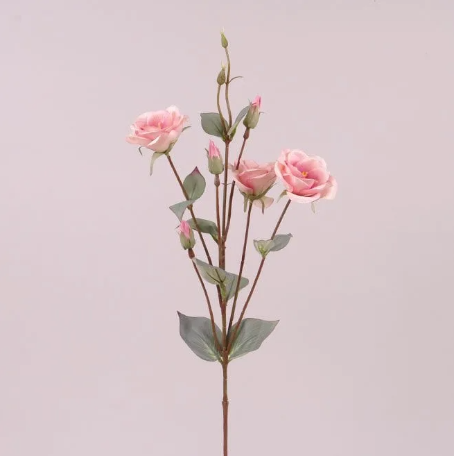 Цветок Эустома Flora Розовый (73051)