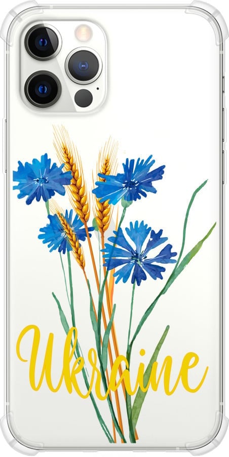 Чехол на iPhone 12 Ukraine v2 (5445sp-2053-42517)