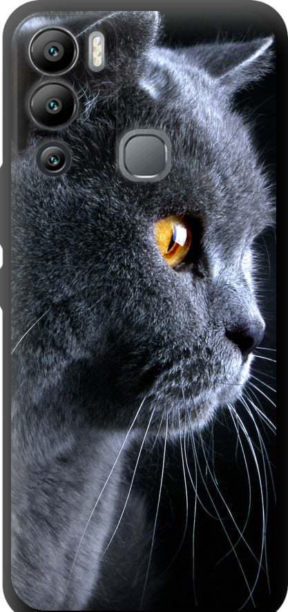 Чехол на Infinix Hot 12i Красивый кот (3038b-2863-42517)