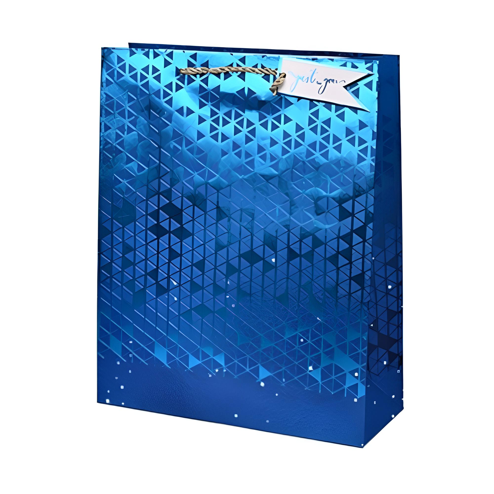 Подарочный пакет Shine R98394-M 26х32х10 см Синий
