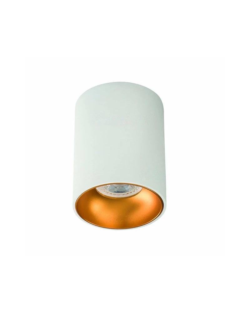 Точечный светильник Kanlux 27570 Riti GU10W/G (009555)