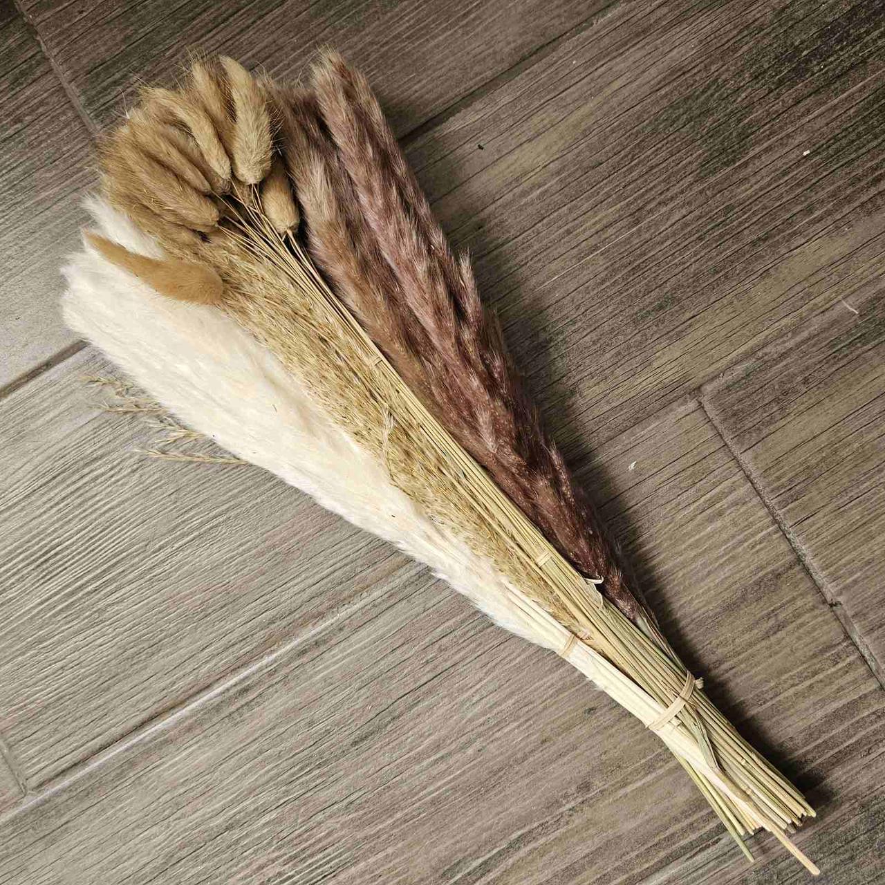 Букет сушеников из пампасной травы Бохо-шик (2552479838)