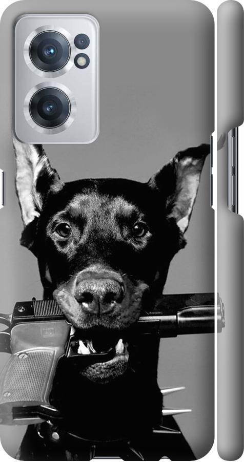 Чехол на OnePlus Nord CE 2 Доберман (2745m-2589-42517)