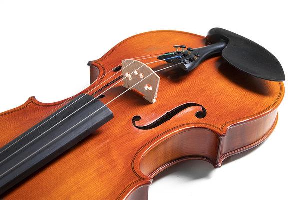 Скрипковий комплект GEWApure EW 4/4 - фото 6 Скрипковий комплект GEWApure EW 4/4 - фото 6