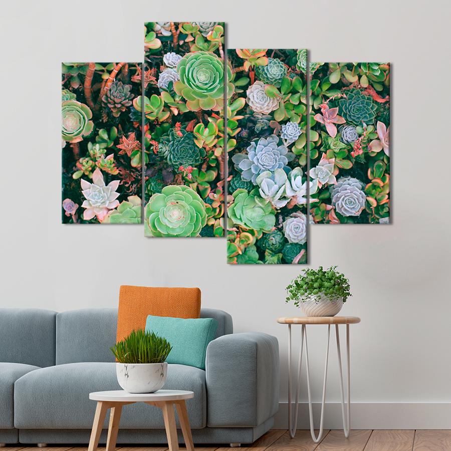 Картина цветы и растения Разноцветные суккуленты 129x90 см (A1016-4)