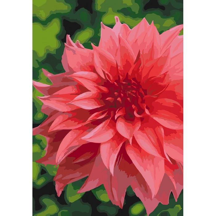 Картина по номерам Ідейка Волшебный георгин 35х50 см (KHO3053)