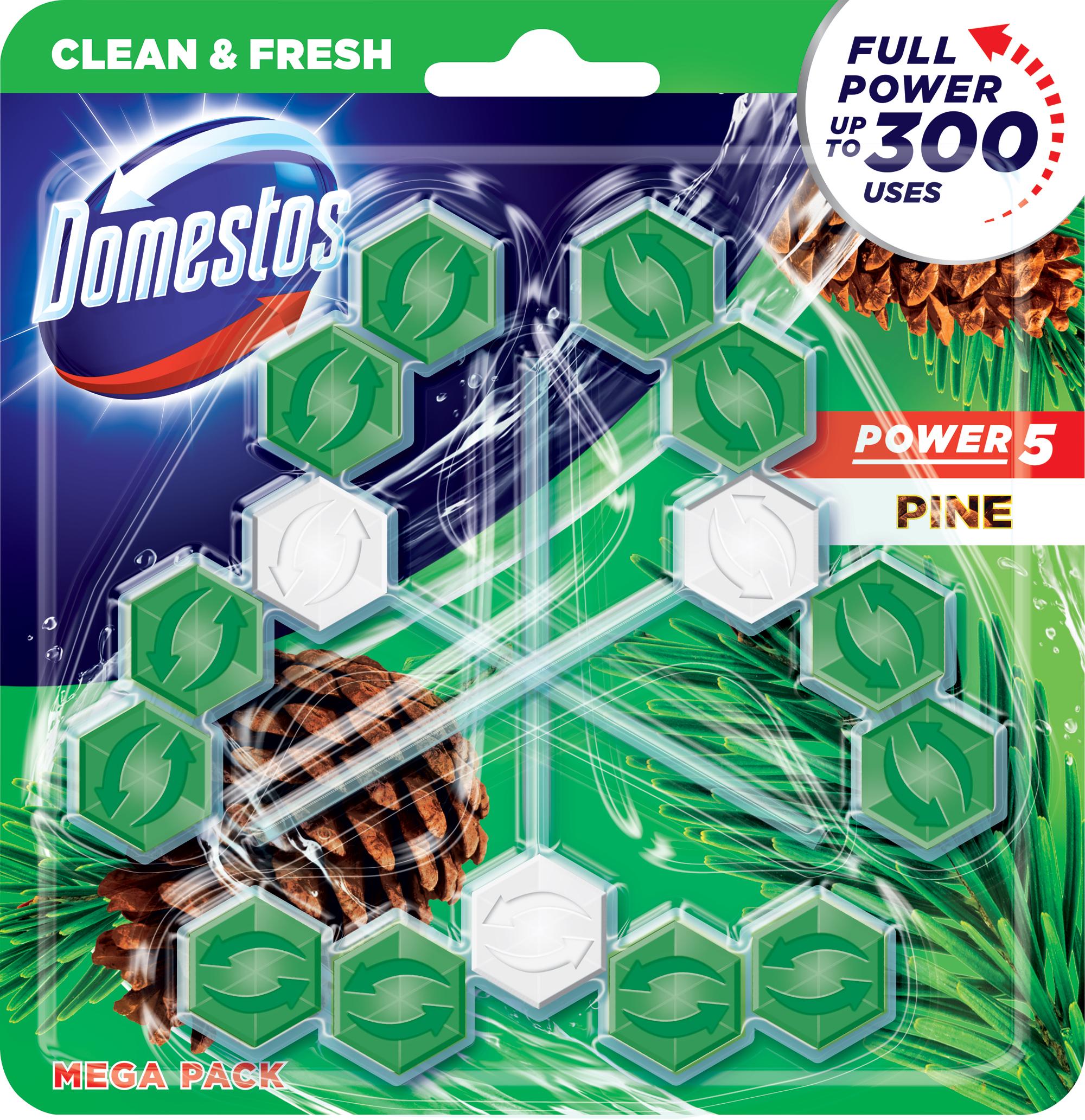 Туалетні блоки для унітазу Domestos Power 5 Свіжість Хвої 55 г 3 шт. (12403)