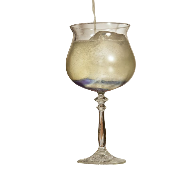 Бокал для коктейлей Gin&Tonic 1924 640 мл (01569)