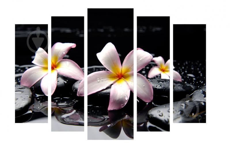 Модульная картина Декор Карпаты 120х80 см (M5-156)