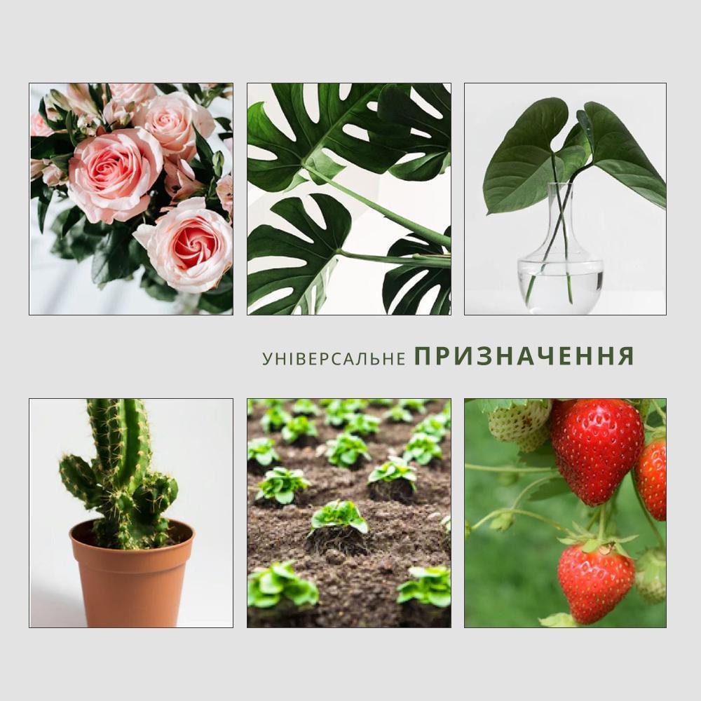 Инсектициды для насекомых и от муравьев для защиты растений клеевые 10 шт. (19071486) - фото 2 Инсектициды для насекомых и от муравьев для защиты растений клеевые 10 шт. (19071486) - фото 2