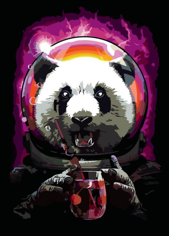 Картина по номерам Rosa Панда ко смонавт 35х45 см (N00013218)