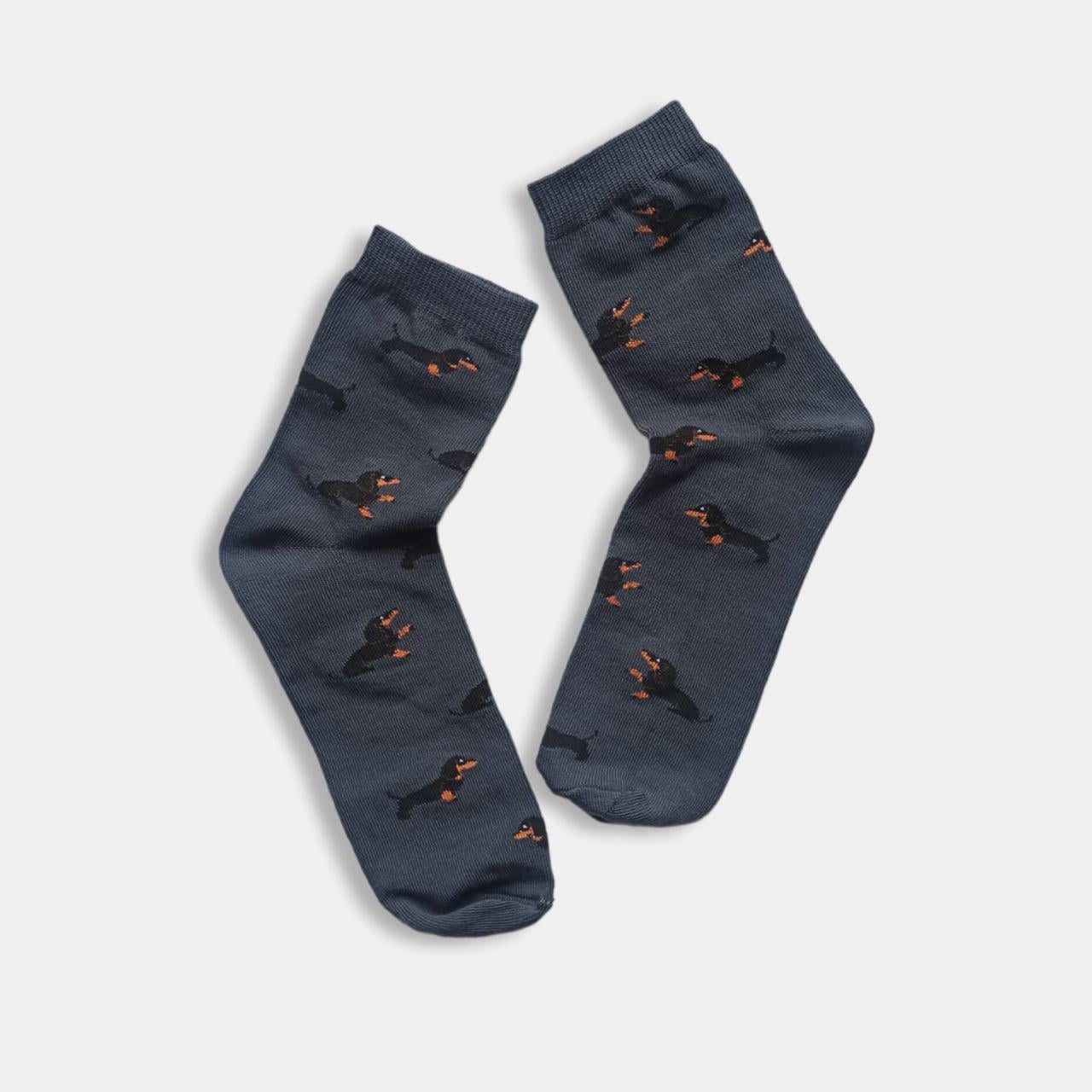 Носки для мальчика с принтом TwinSocks р. 14-16 Такса (363)