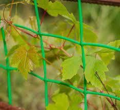 Сетка декоративная пластиковая Клевер 85x85 мм 1x20 м Темно-зеленый (509) - фото 6 Сетка декоративная пластиковая Клевер 85x85 мм 1x20 м Темно-зеленый (509) - фото 6