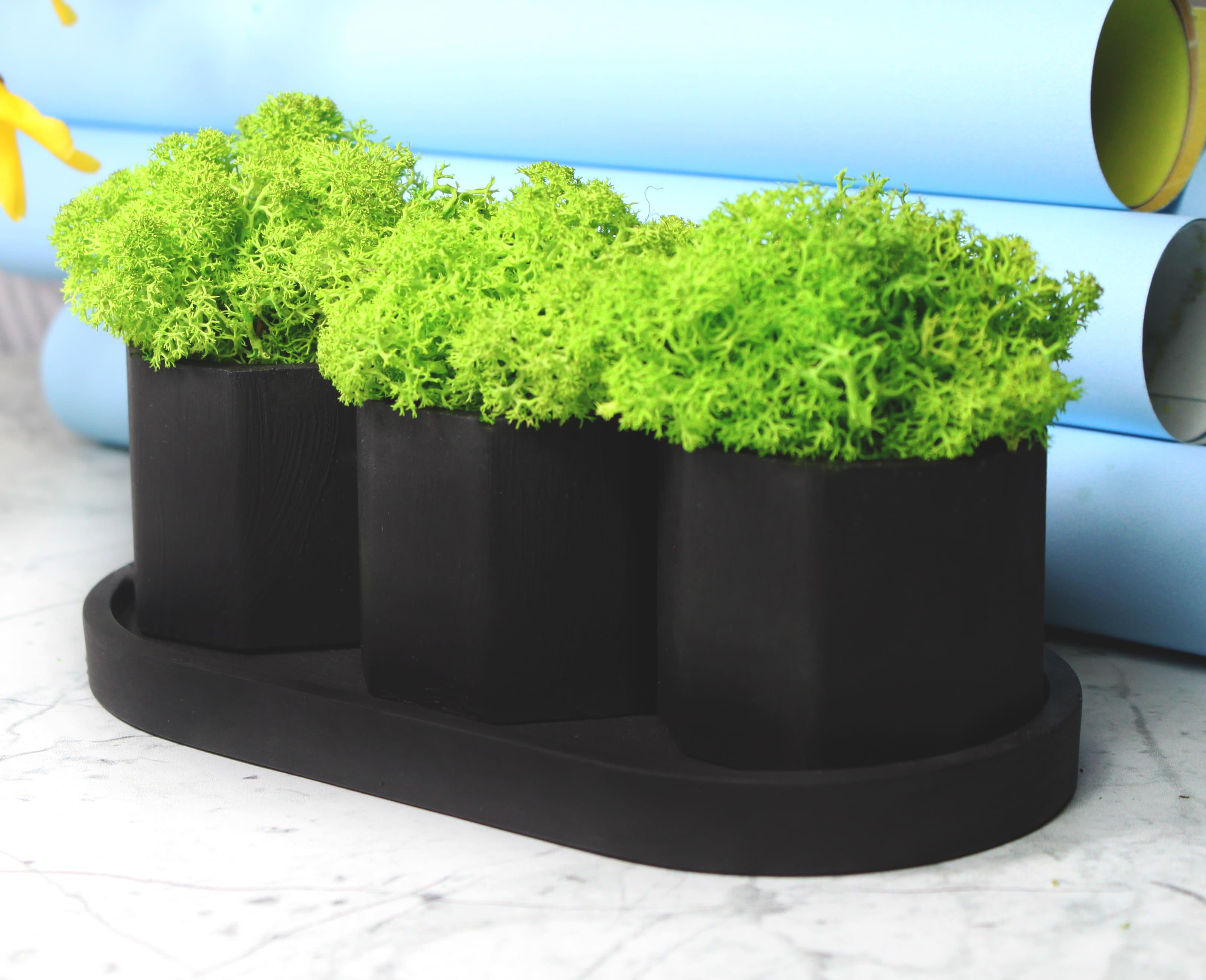 Набор кашпо NEROLI Восьмиугольник со стабилизированным мхом на подставке Черный