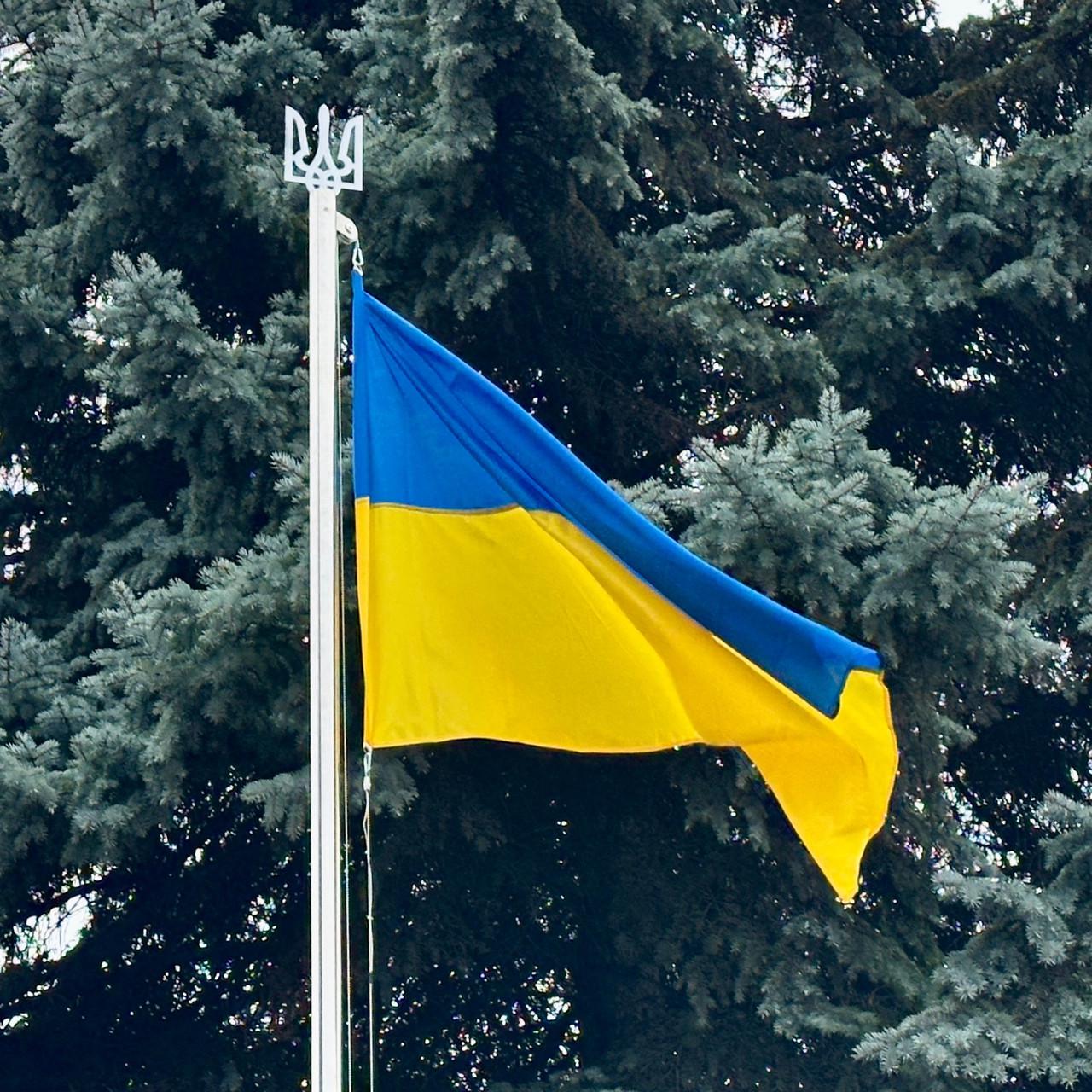 Комплект флагшток с флагом сборный н/ж сталь с механизмом подъема/спускания 6,3 м (31117525)