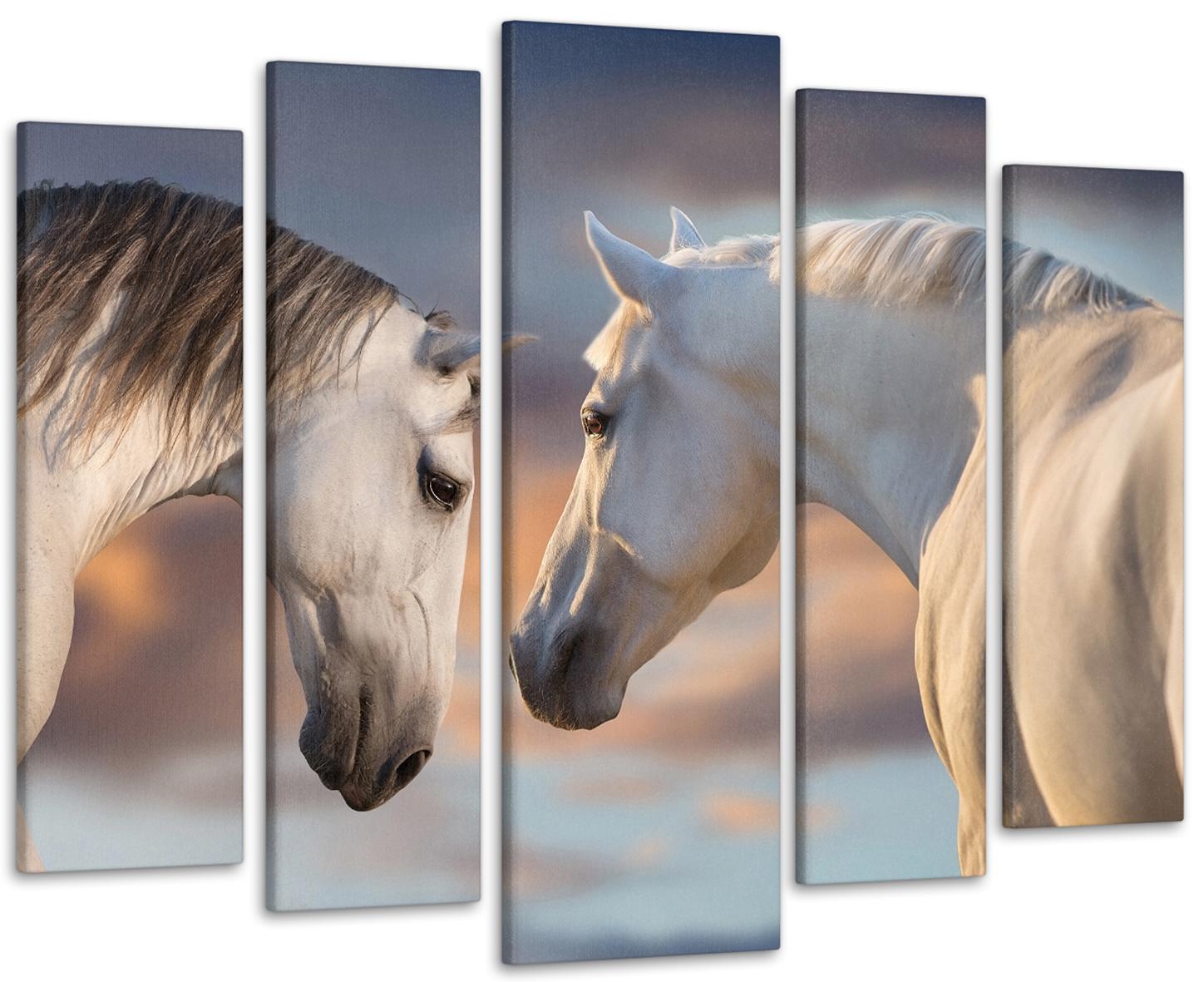 Картина модульна Білі коні 110х160 см (Art-465_5)