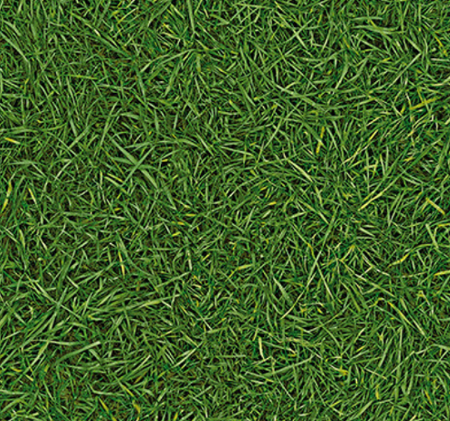 Лінолеум Комфорт Трава 2 м (26468859)