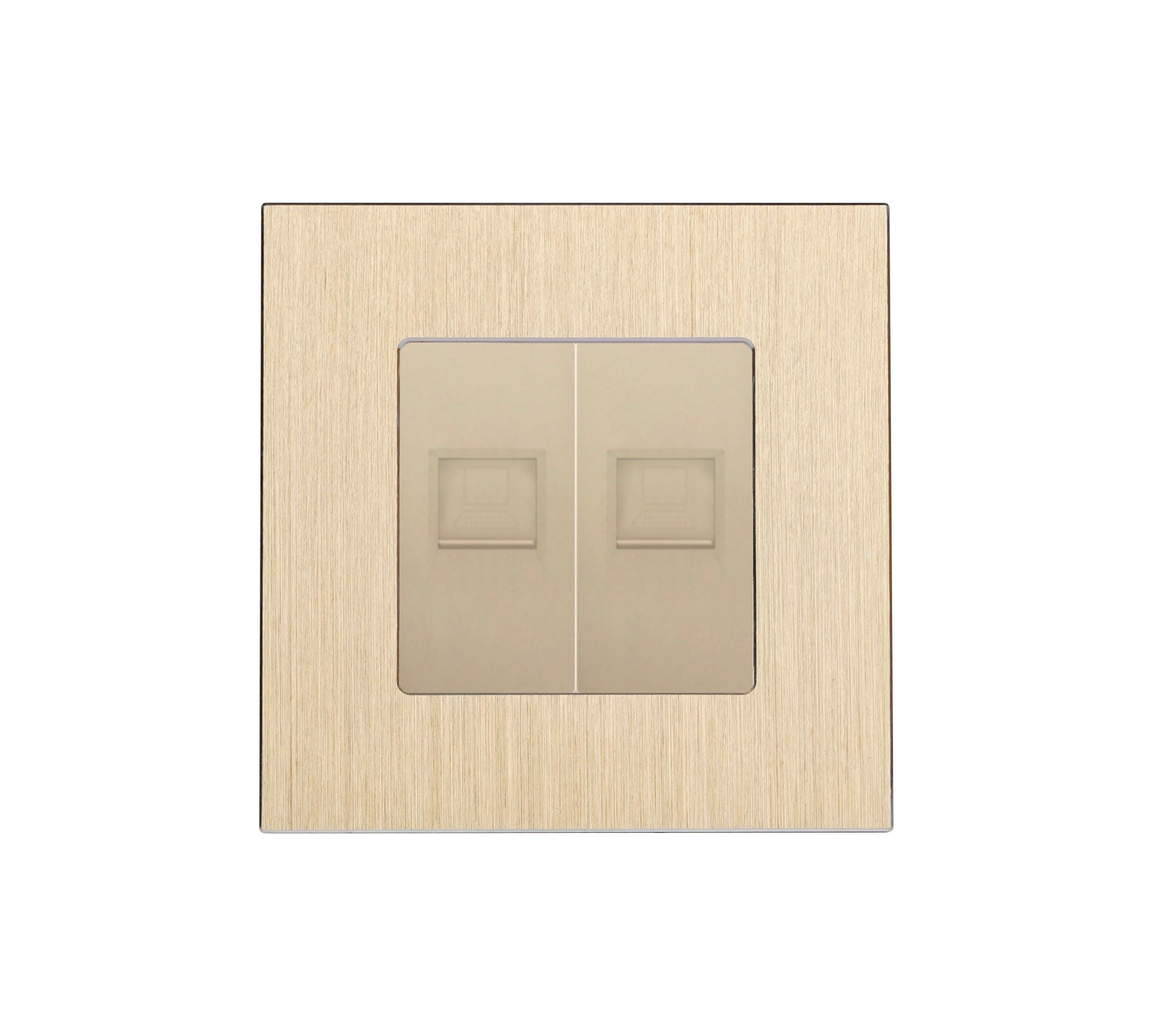 Розетка компьютерная двойная WALLPAD RJ-45 дизайнерская настенная алюминиевая рамка Золотой (WP-CAT6CAT6-GD)