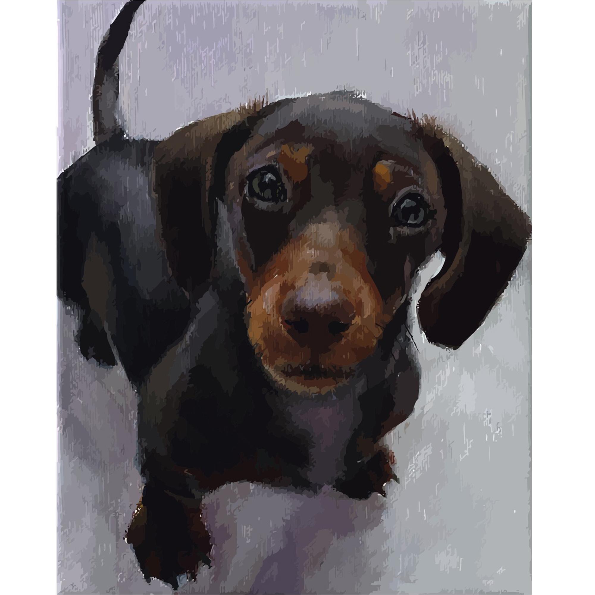 Картина по номерам Strateg Такса 40x50 см (VA-0014)