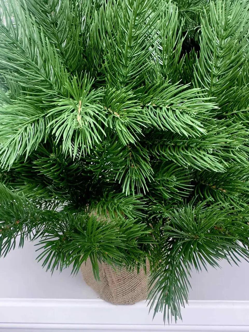 Искусственная елка литая HVOYA Pine Mini в мешковине 90 см Зеленый (810/90/G) - фото 4 Искусственная елка литая HVOYA Pine Mini в мешковине 90 см Зеленый (810/90/G) - фото 4