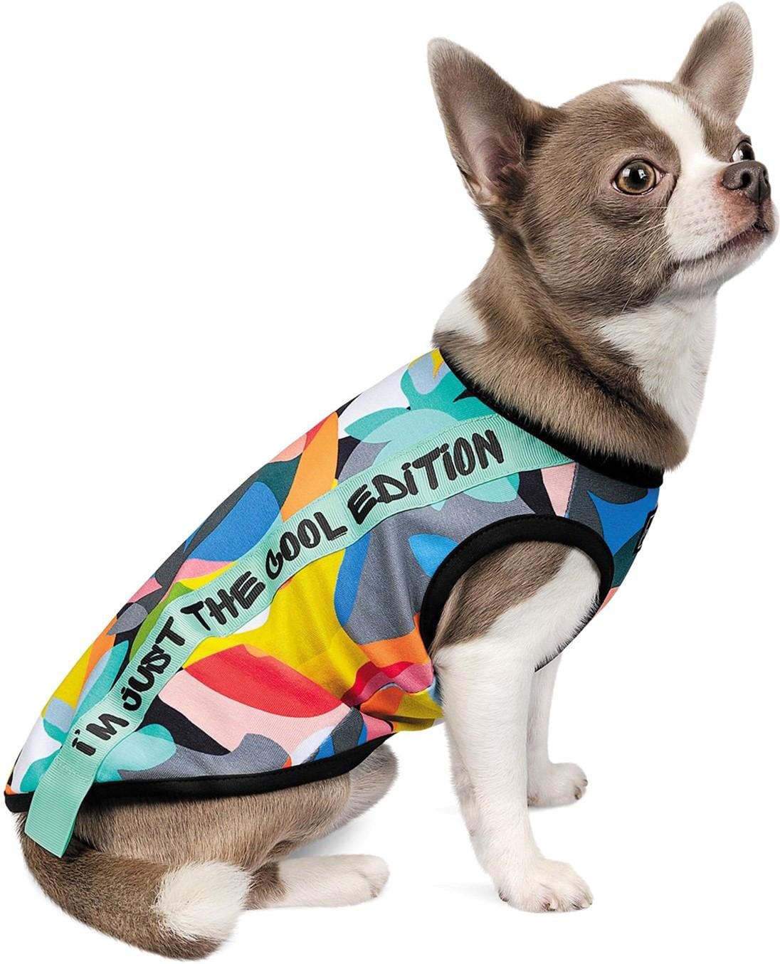 Борцовка для собак Pet Fashion Cool XS2 Разноцветный (4823082420179)