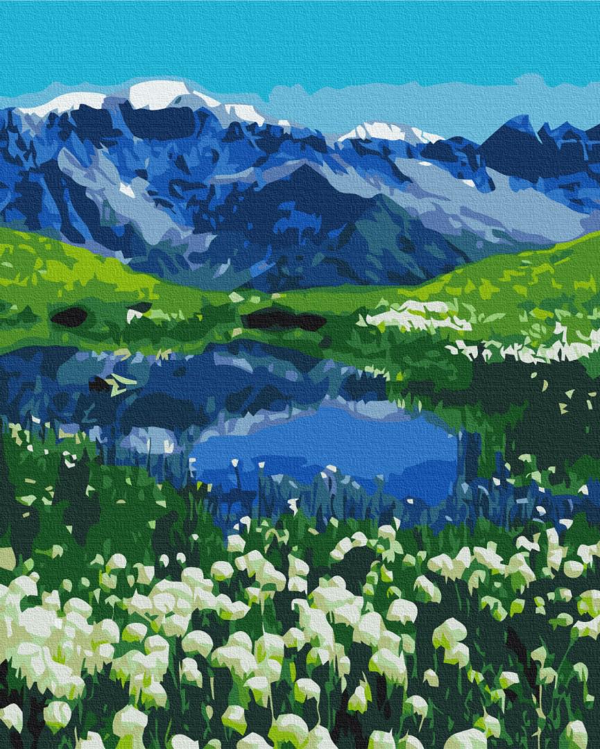 Картина по номерам Brushme Альпийские луга 48x60 см (BS39458L)
