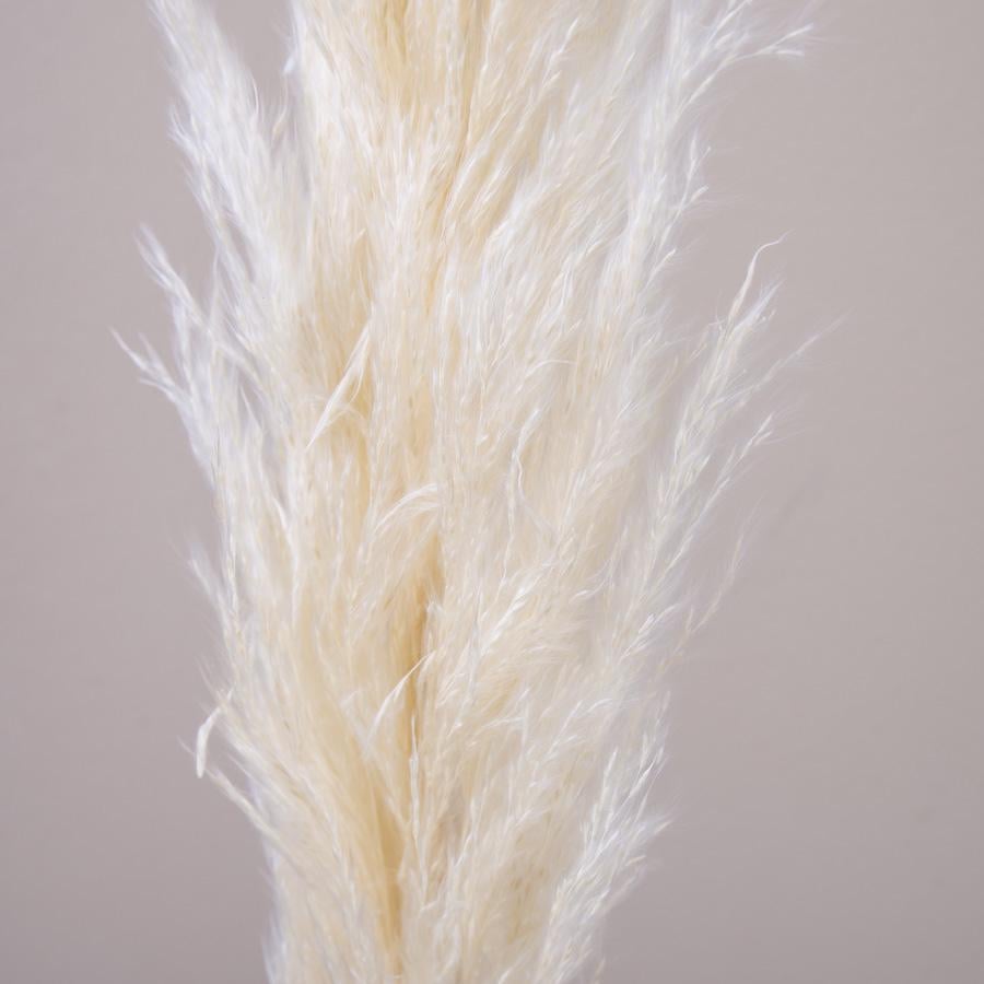 Гілка пампасу середня 100 см 3 шт. (ST00206)