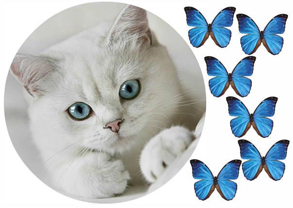 Картинка на торт вафельна Котик (5842)