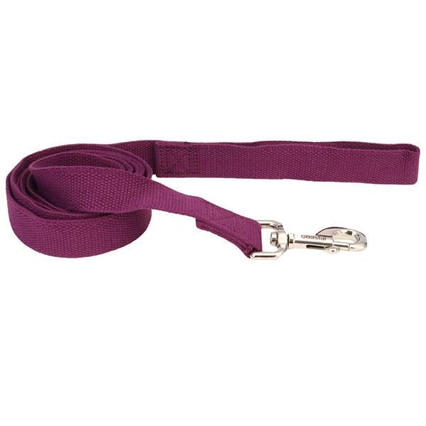 Повідець для собак Coastal New Earth Soy Dog Leash 2,5 см х 1,83 м Фіолетовий
