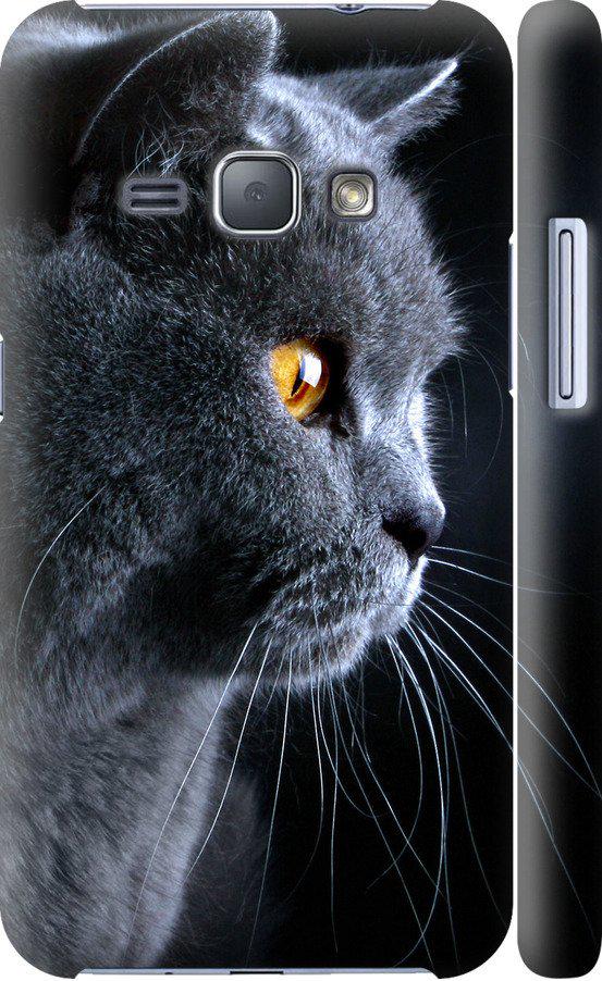 Чехол на Samsung Galaxy J1 (2016) Duos J120H Красивый кот (3038c-262-42517)