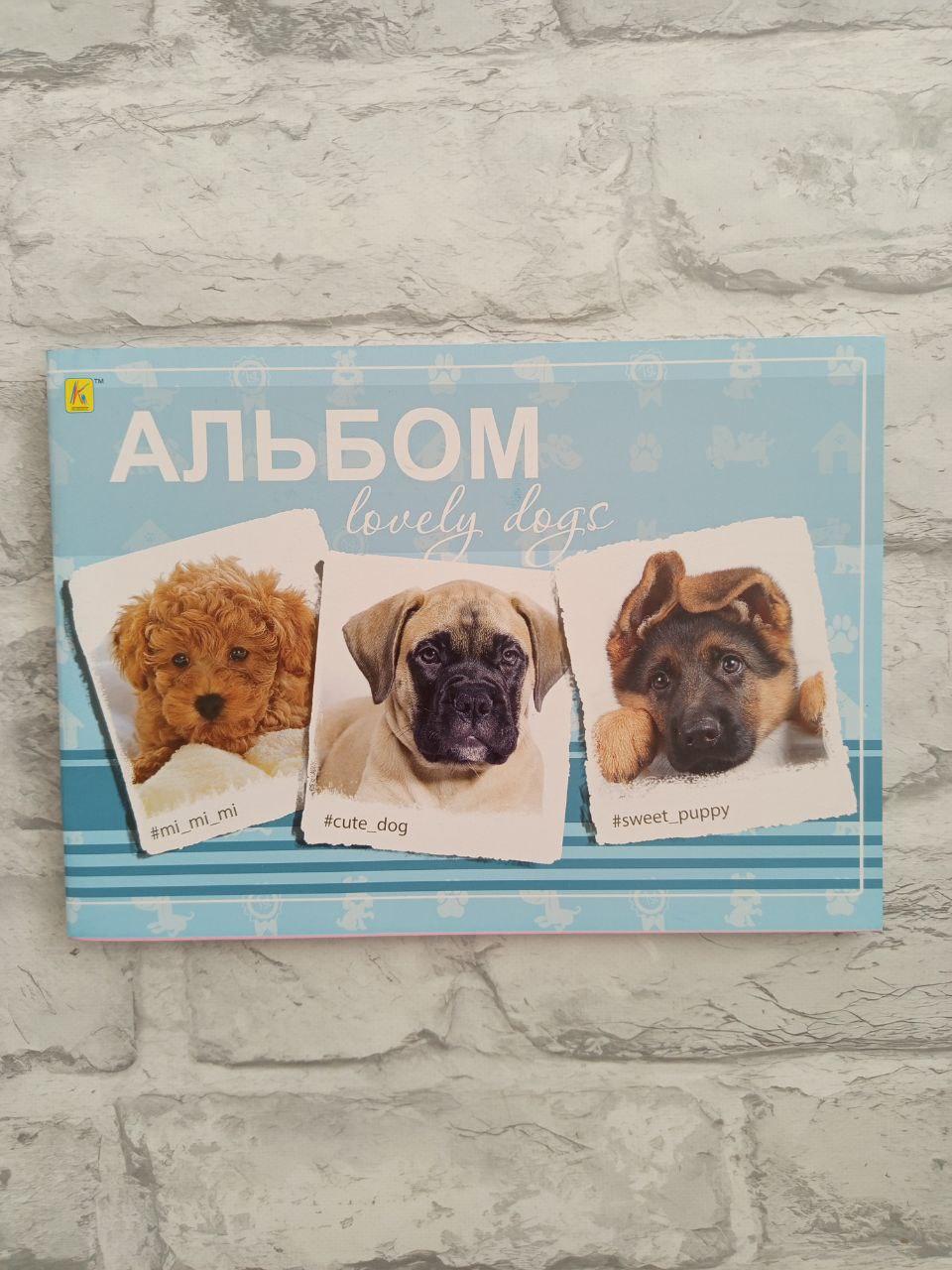 Альбом для малювання 20 аркушів (1210)