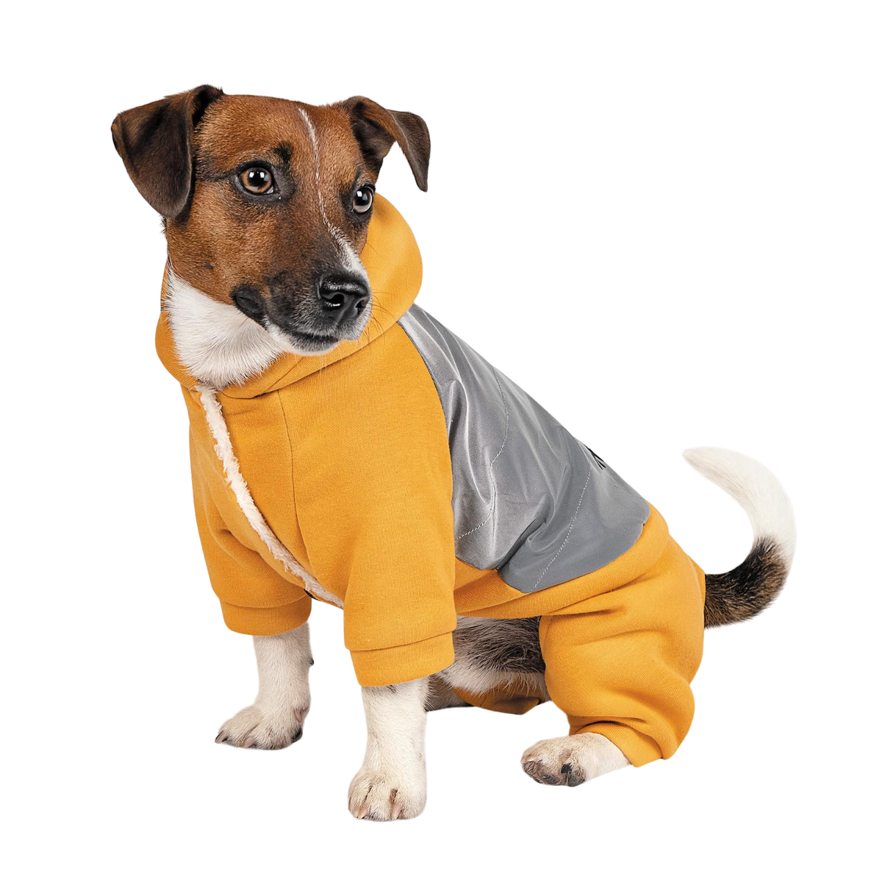 Костюм Pet Fashion Leaf S Оранжевый (PR242290)