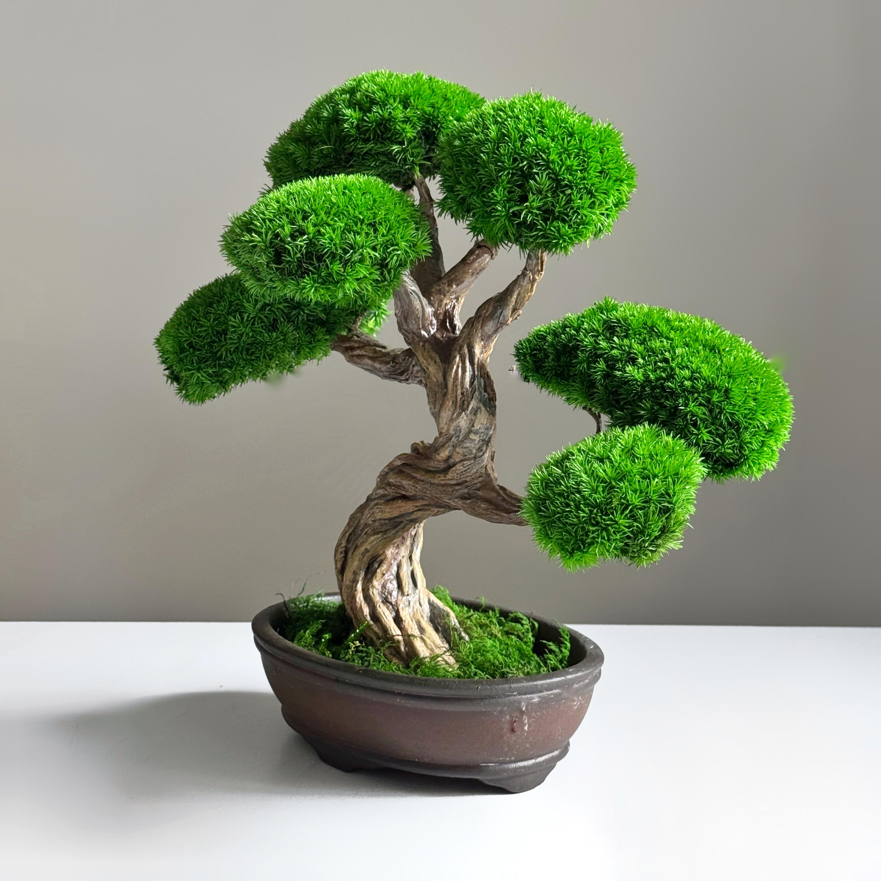 Бонсай зі стабілізованих рослин 26х25 см - фото 4