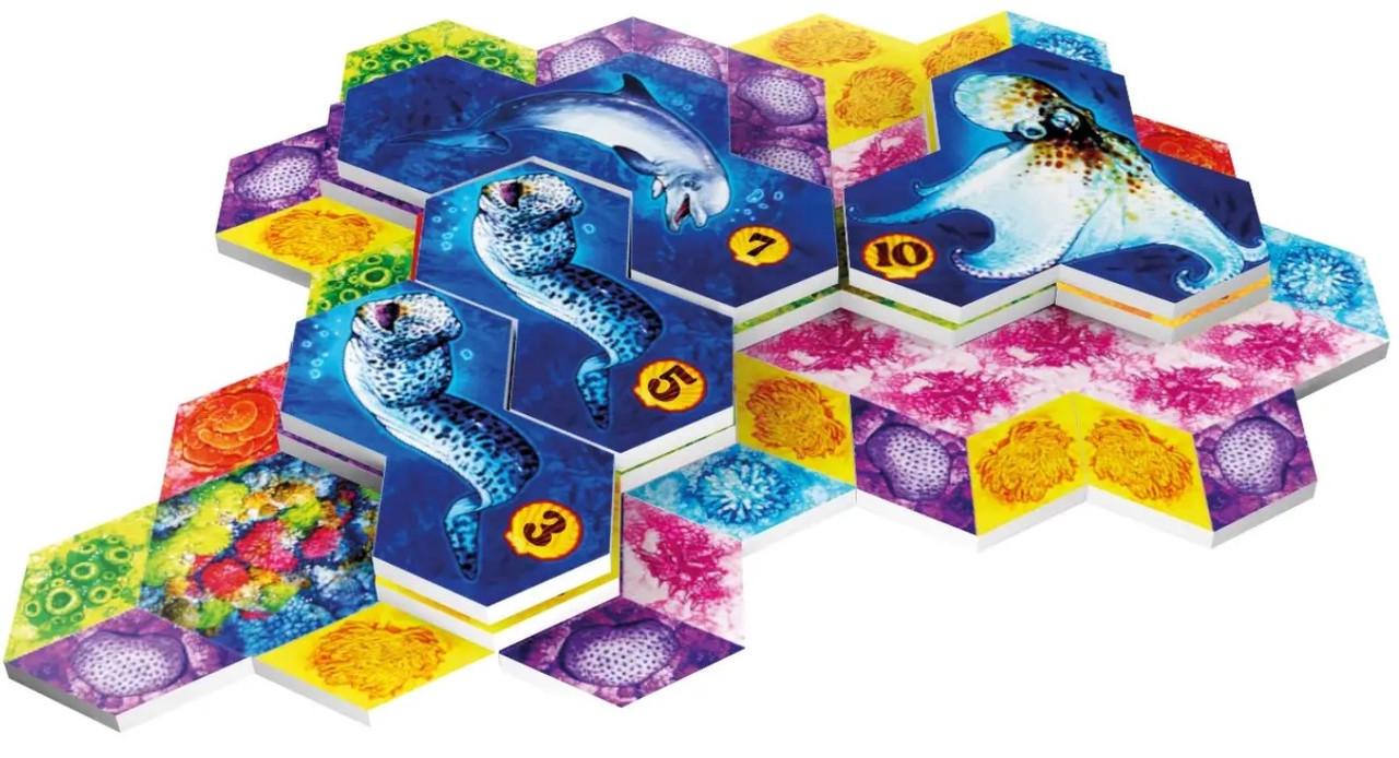 Настільна гра Aqua. Океанське біорізноманіття (LOB2331UA) - фото 5 Настільна гра Aqua. Океанське біорізноманіття (LOB2331UA) - фото 5