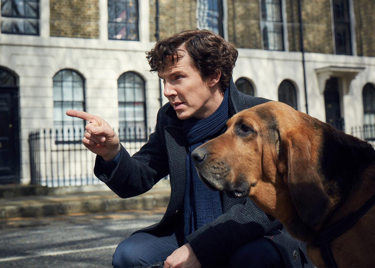 Картина GeekLand Sherlock с собакой (SL 09.027) Картина GeekLand Sherlock с собакой (SL 09.027)
