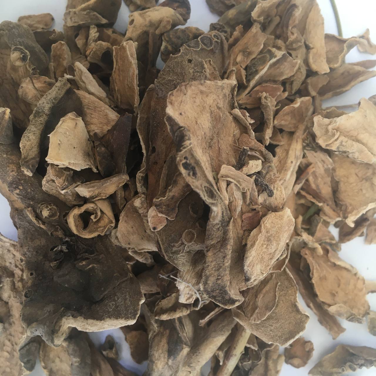 Кубышка желтая корень Карпаты 50 г (6298a696480f247e59298262) - фото 2 Кубышка желтая корень Карпаты 50 г (6298a696480f247e59298262) - фото 2