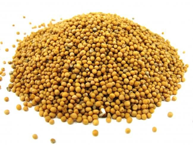 Приправа Горчица целая семена СЯЙВО 100 г - фото 2 Приправа Горчица целая семена СЯЙВО 100 г - фото 2