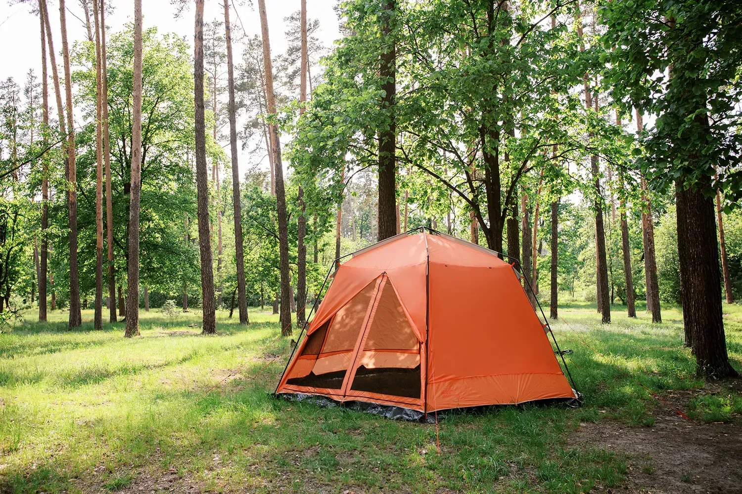 Шатер Tramp Lite Mosquito TLT-009.02 Orange - фото 5 Шатер Tramp Lite Mosquito TLT-009.02 Orange - фото 5