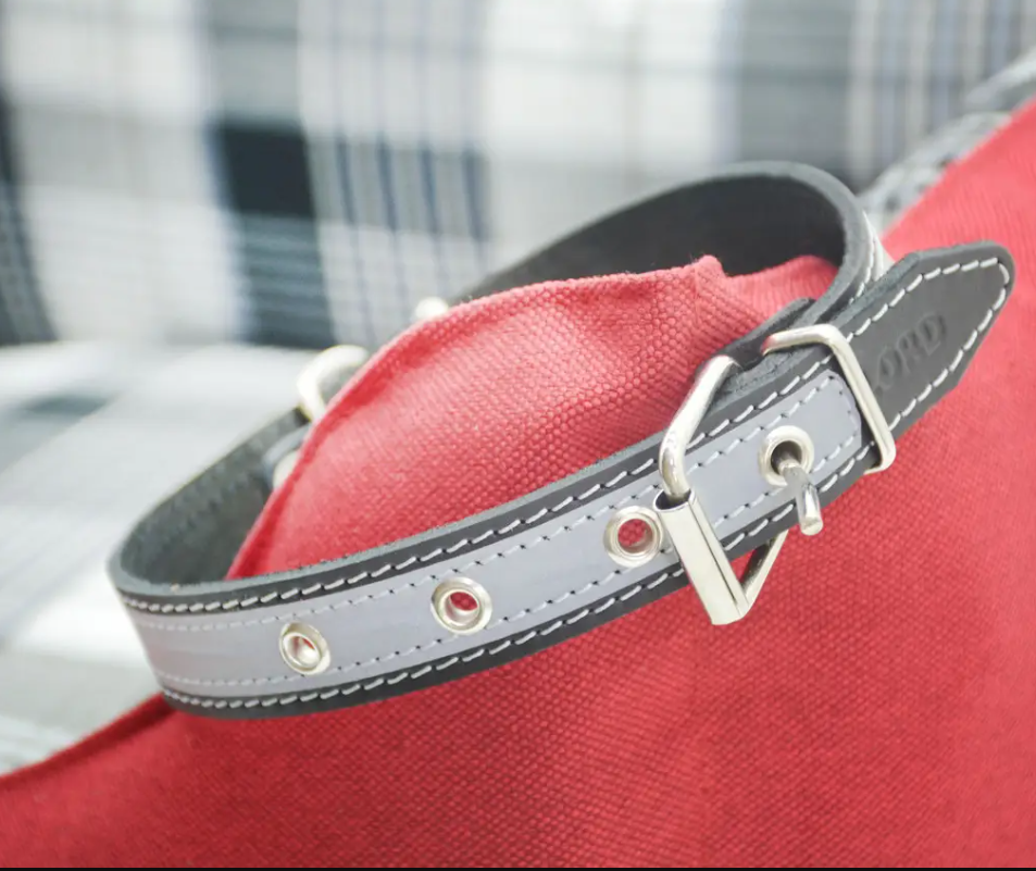 Нашийник для тварин шкіряний зі світло-відбивною стрічкою 25 мм х 36-45 см Чорний (2296445209)