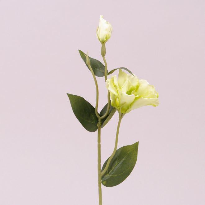 Цветок Эустома Flora Зеленый (72057)