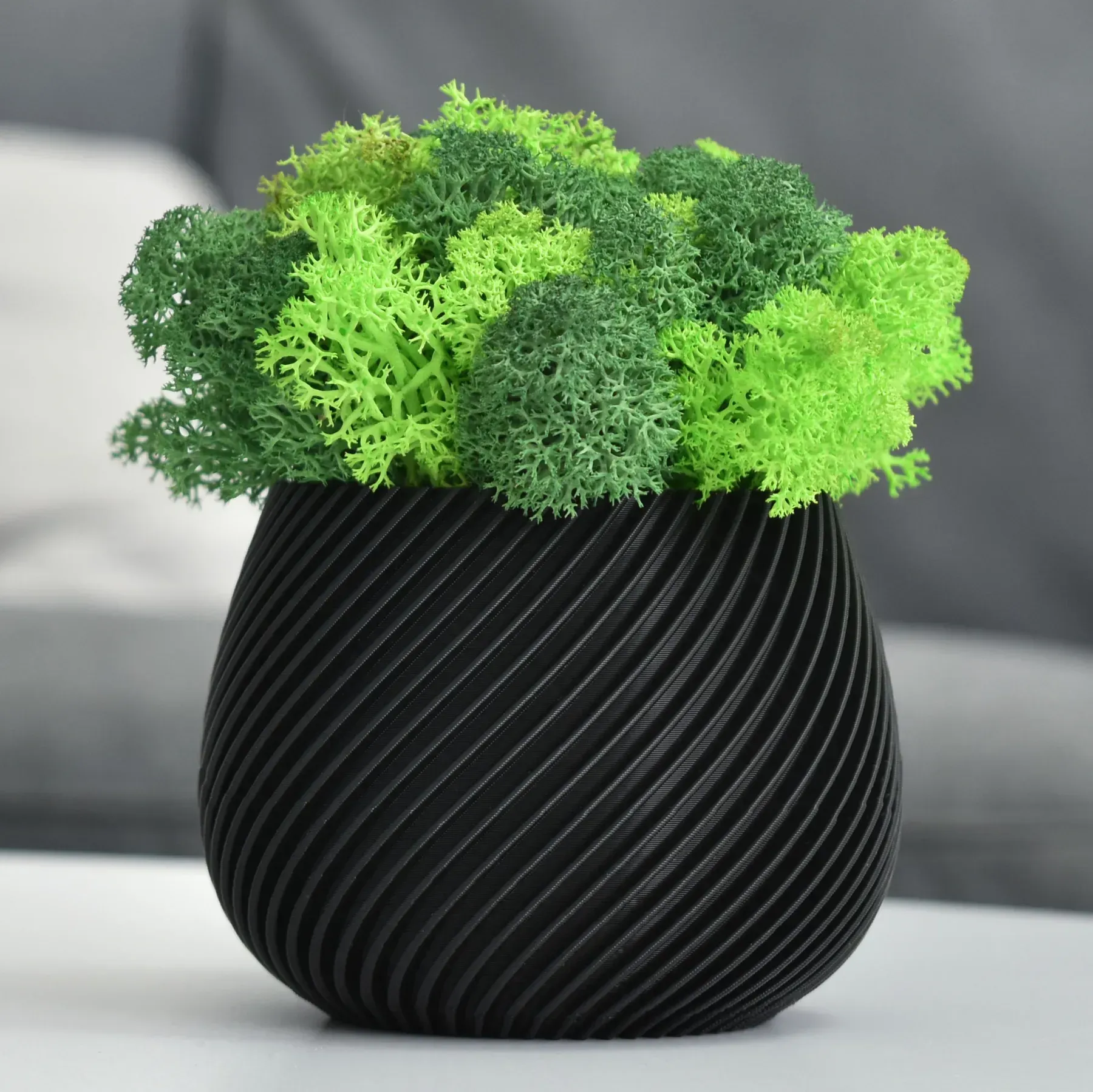 Кашпо спиральное со стабилизированным мхом Белый/Зеленый/Салатовый (KM-C-6)