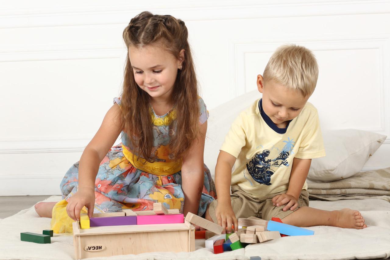 Конструктор HEGA Інклюзія (89) - фото 2 Конструктор HEGA Інклюзія (89) - фото 2