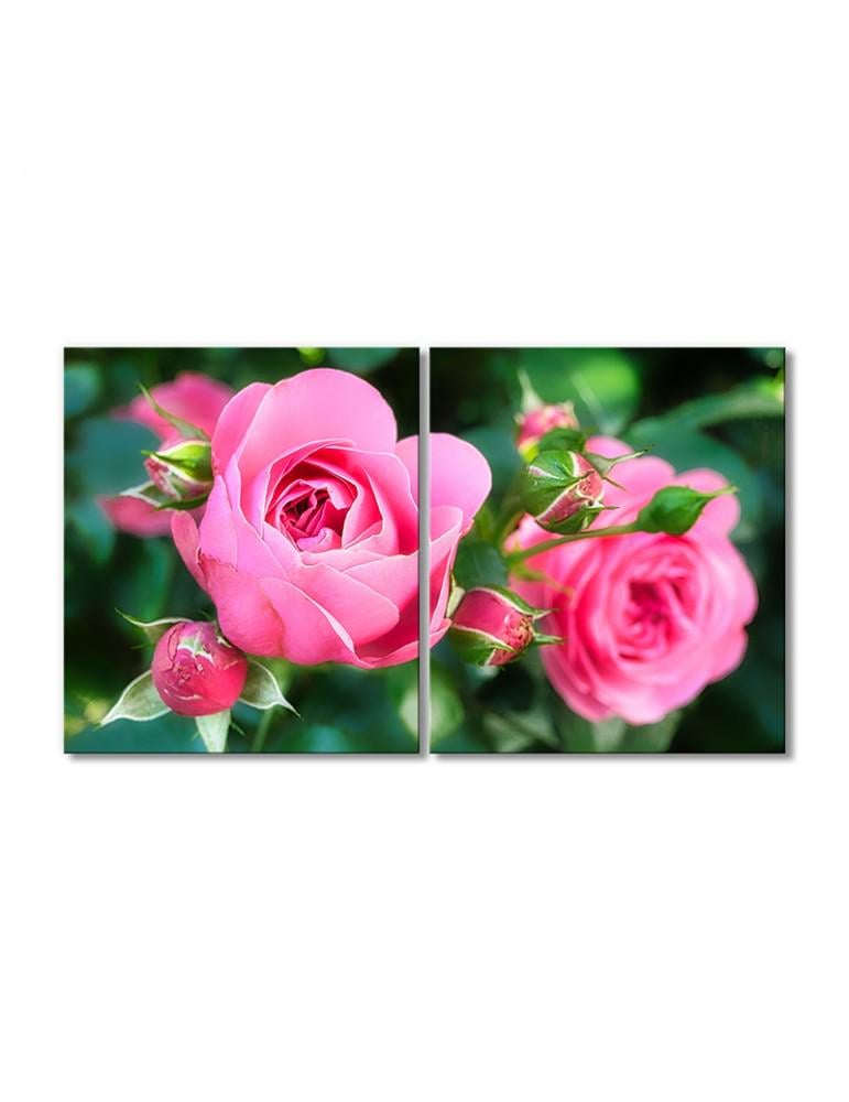 Картина модульная Розовые кустовые розы и бутончики 2 модуля 80x120 см