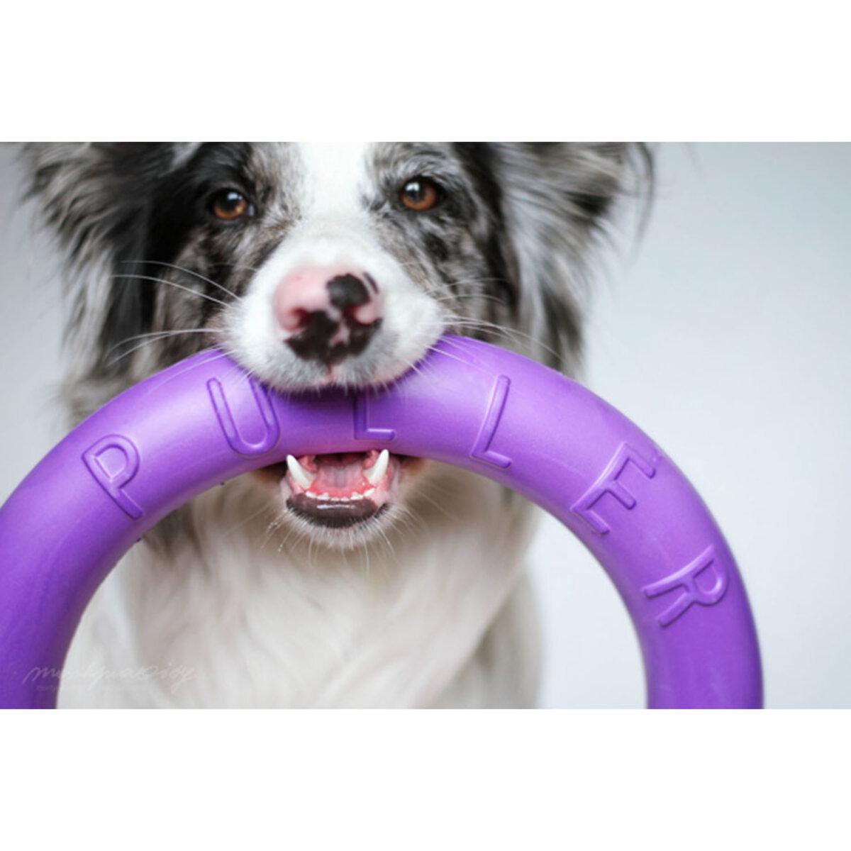 Тренувальний снаряд для собак PULLER Standard D 28 см (25881220) - фото 9 Тренувальний снаряд для собак PULLER Standard D 28 см (25881220) - фото 9