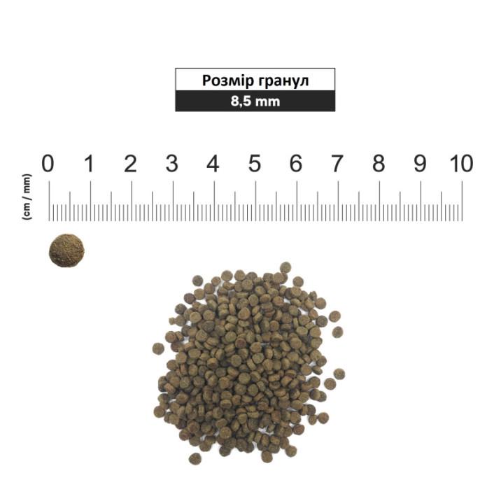 Корм сухий для собак 1st Choice Senior Toy & Small Breeds Chicken 2 кг (6214240) - фото 3 Корм сухий для собак 1st Choice Senior Toy & Small Breeds Chicken 2 кг (6214240) - фото 3