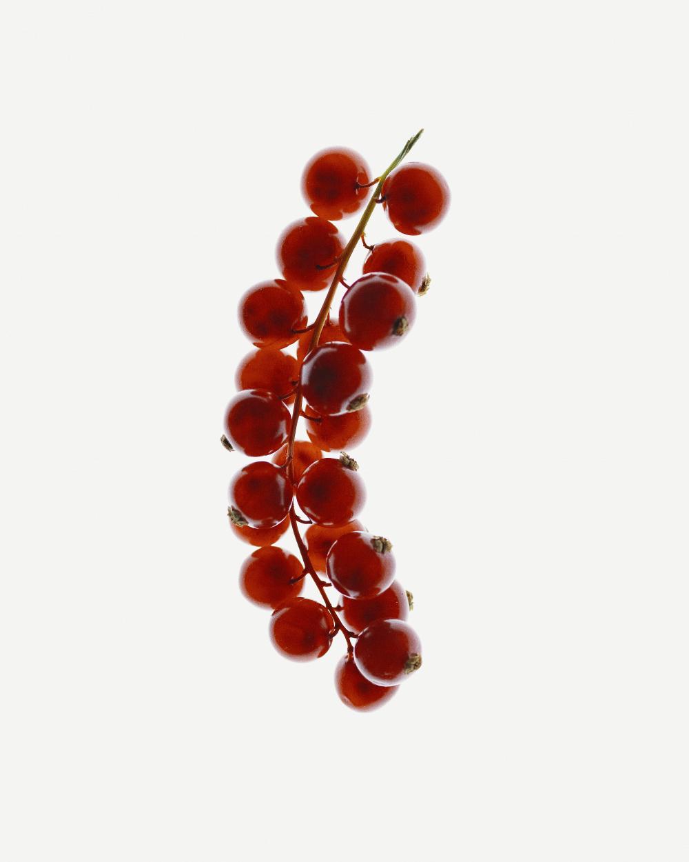 Санітайзер sense.education.care Дачна смородина 50 мл (SA50BA) - фото 2