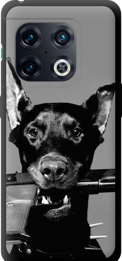 Чехол на OnePlus 10 Pro Доберман (2745b-2588-42517)