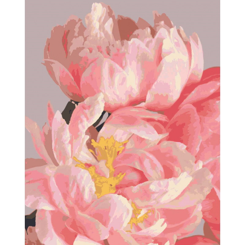 Картина за номерами RB-0023 Світанок 40х50 см (10-15-RB-0023)