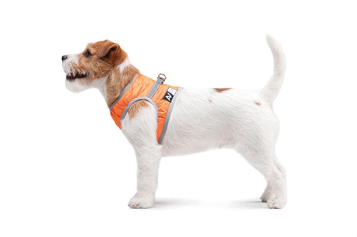 Шлея м'який AiryVest ONE S2 Помаранчевий - фото 4 Шлея м'який AiryVest ONE S2 Помаранчевий - фото 4