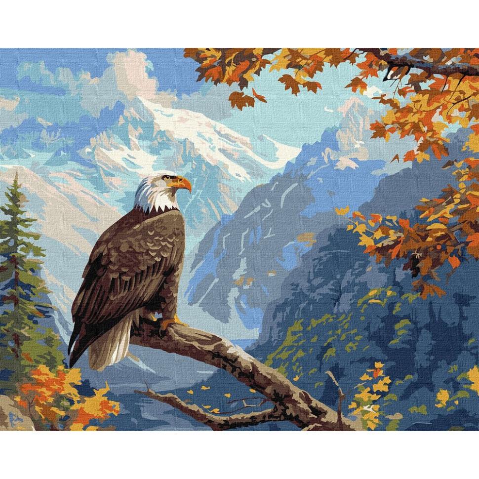 Картина за номерами Ideyka Вершинний сторож 40x50 см (KHO6649)